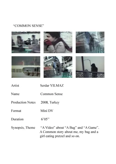 Video Sanatı